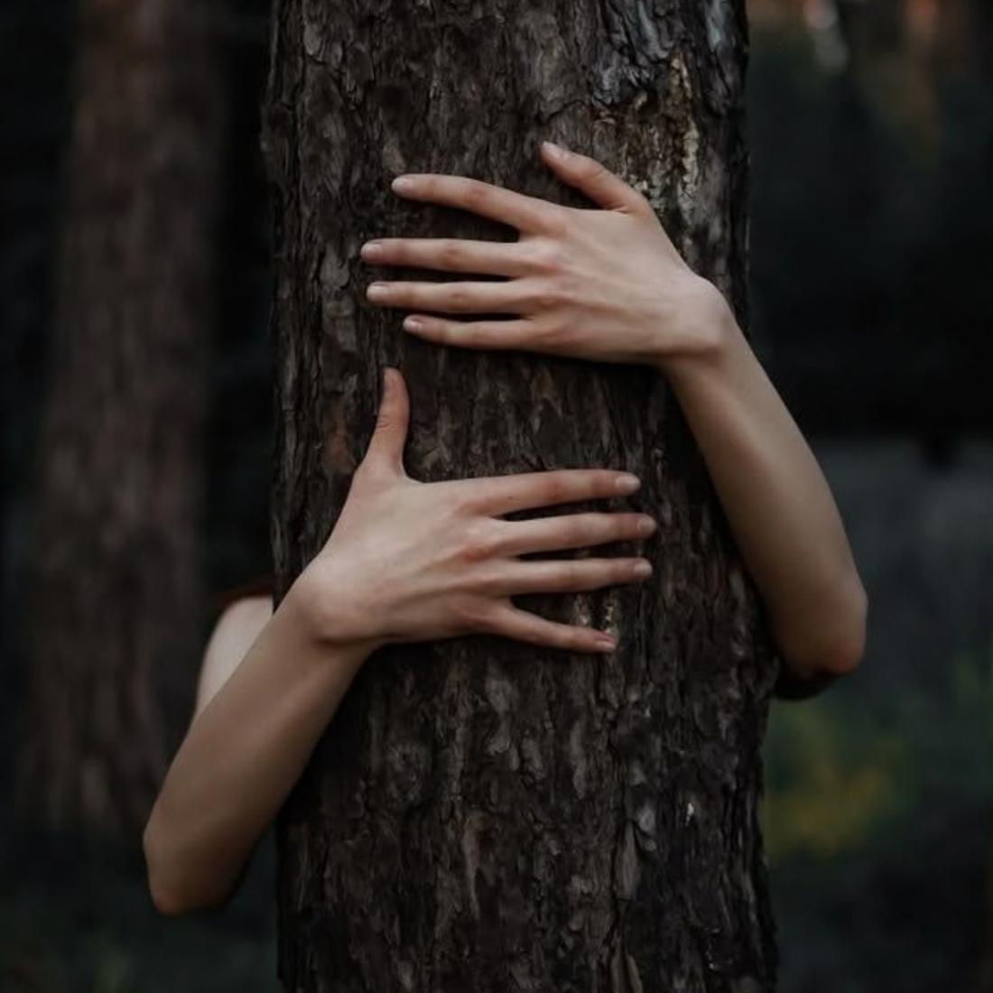 Talk Therapy Isn’t Enough: How to Heal Complex Trauma