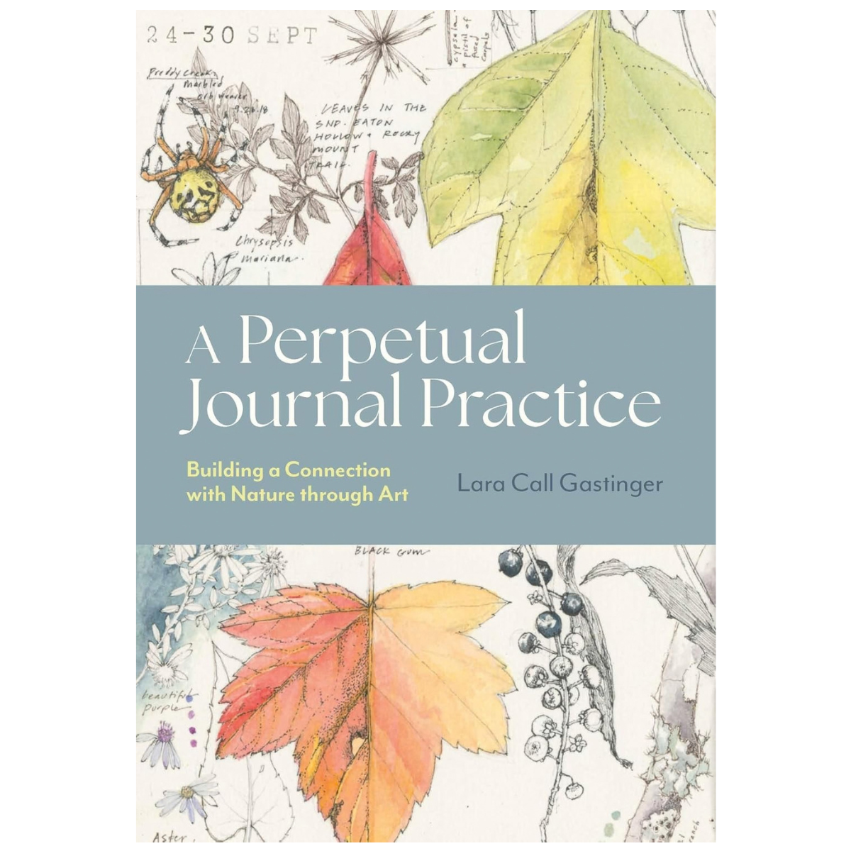 A Perpetual Journal Practice: Building a Connection with Nature