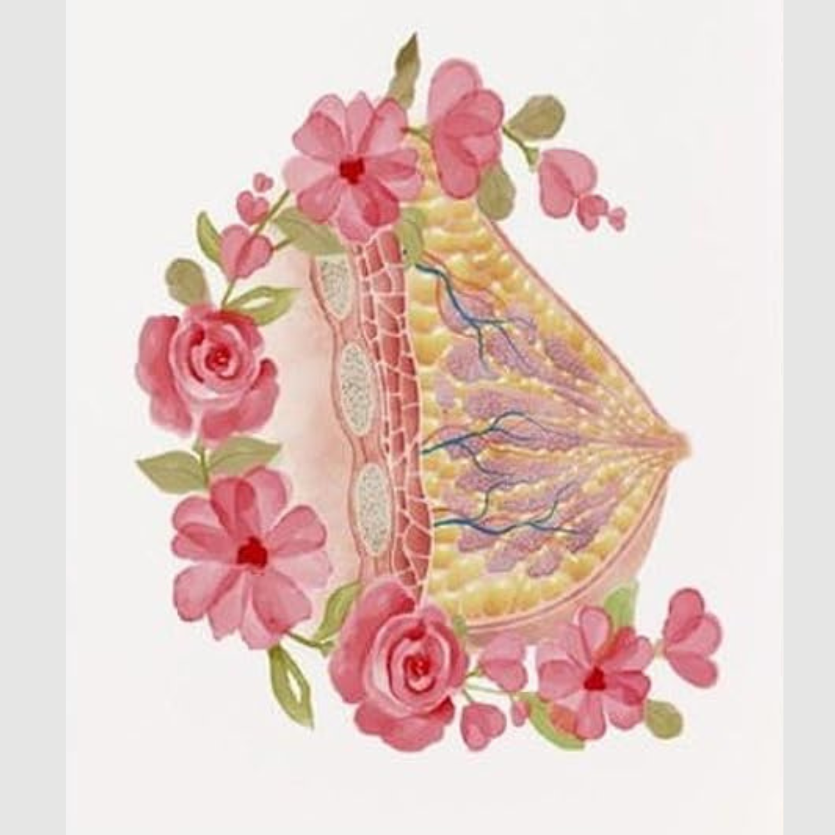 Floral Female Anatomy Poster