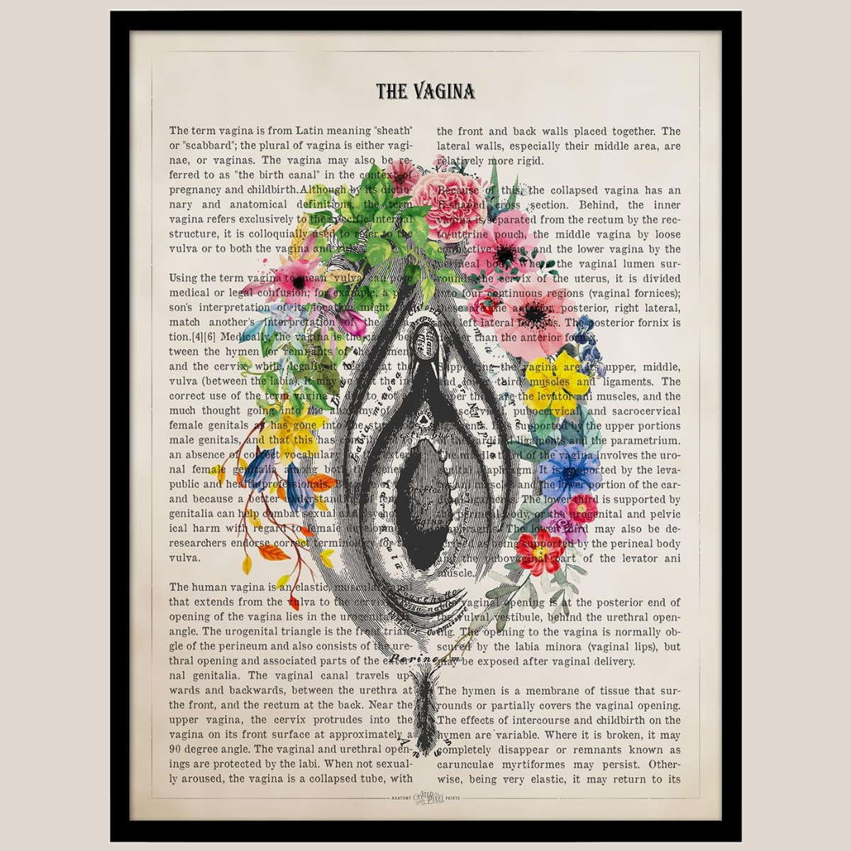 Vulva Anatomy Flowers Newspaper Print