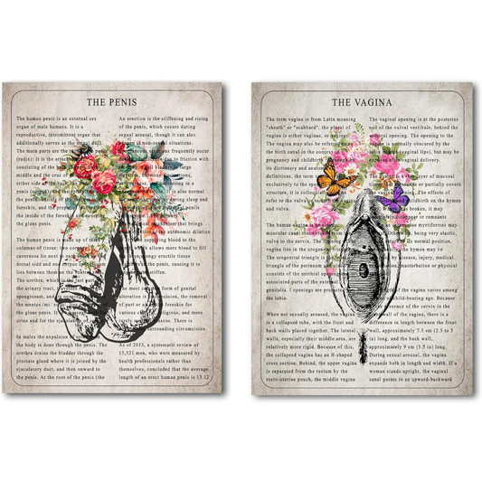 Penis Vulva Wall Art