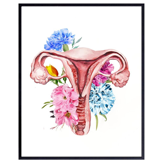 Floral Female Anatomy Wall Art