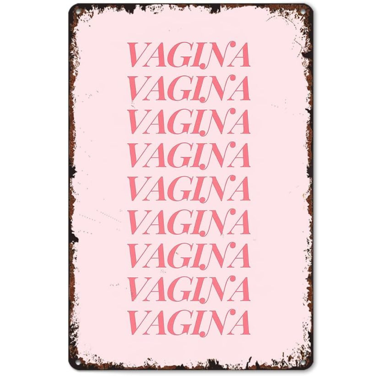 Vagina Wall Art Funny Metal Tin Sign