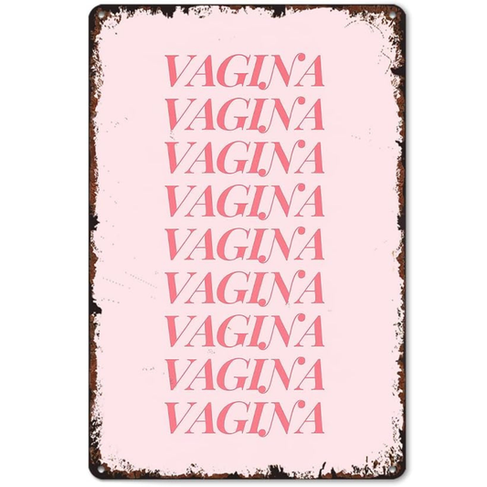 Vagina Wall Art Funny Metal Tin Sign